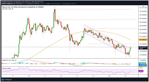 Binance Coin Price Analysis: BNB sell-off eases as bulls target $260