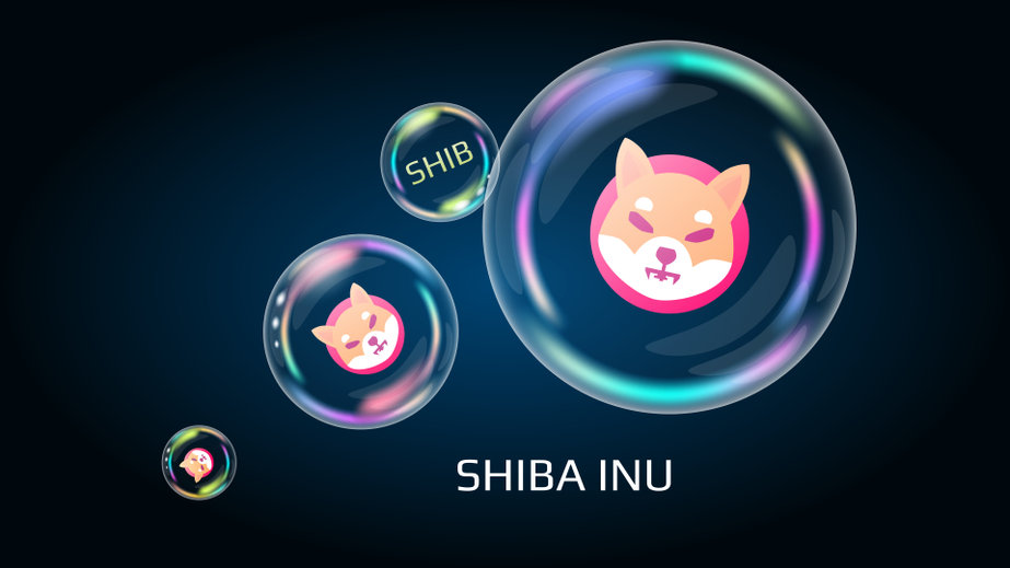 Shiba Inu (SHIB) could double your money in the near term  Here is why