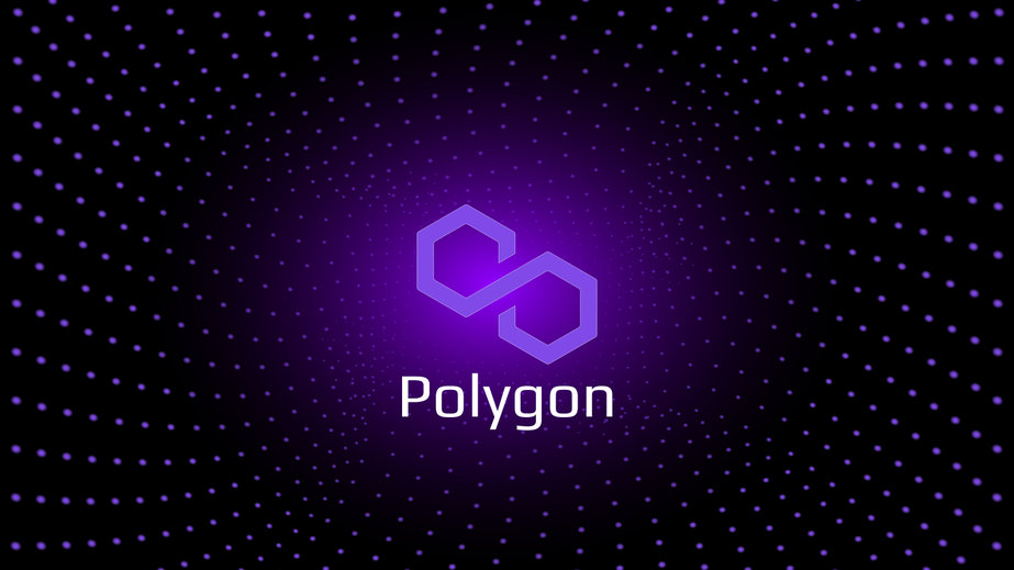 You can buy Polygon today, the biggest top 20 winner: heres where