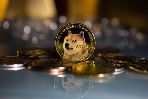  bitcoin transactions elon suited musk dogecoin says 