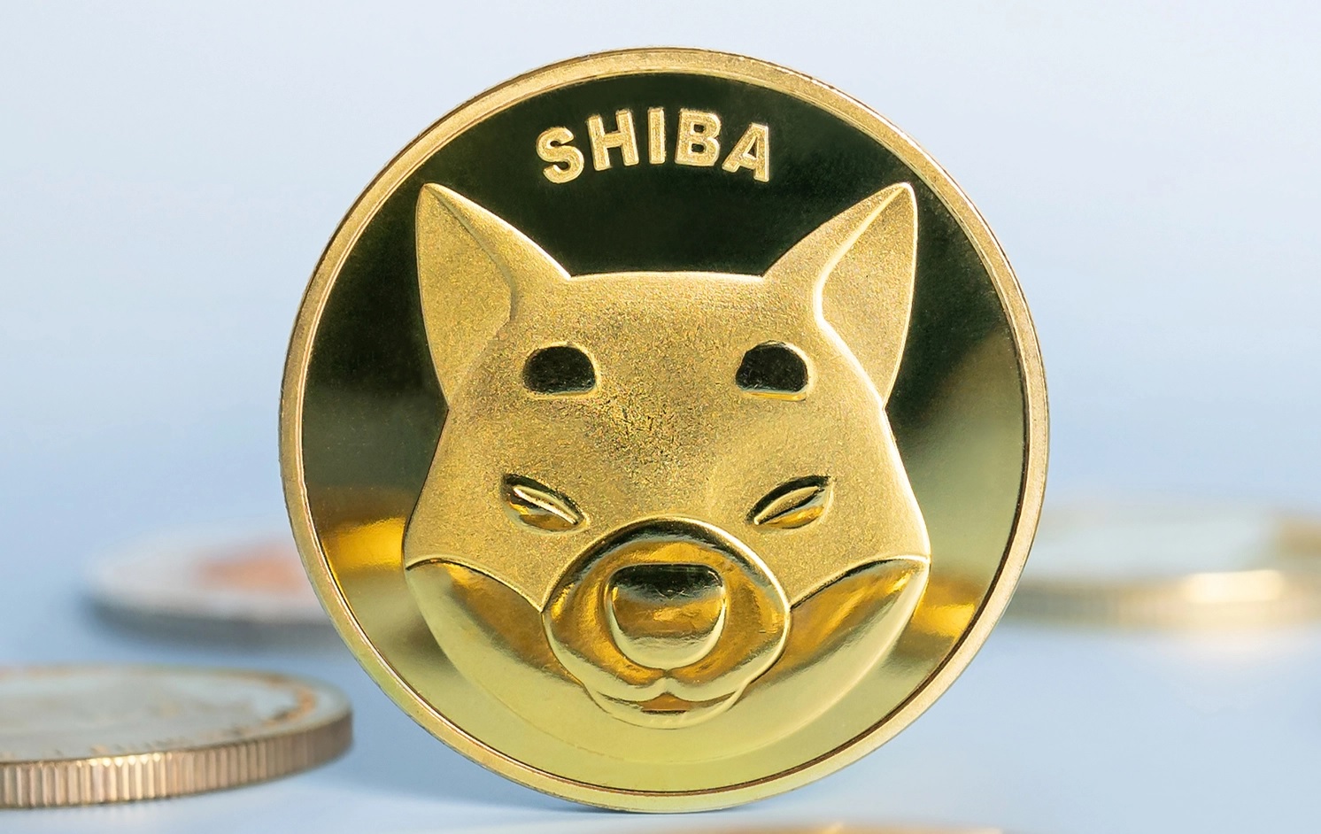 Shiba Inu (SHIB) leads other meme coins in gains as the crypto market opens Monday on the rise