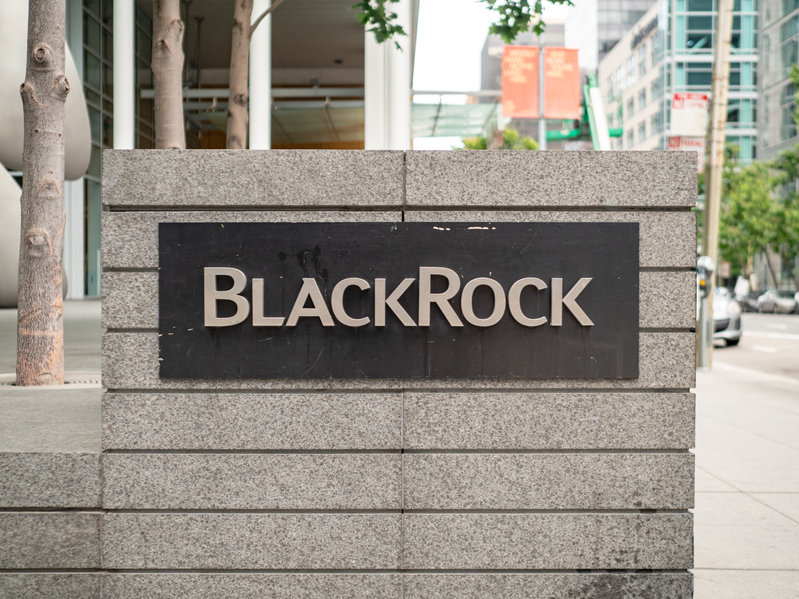  blackrock rising demand amid says ceo clients 