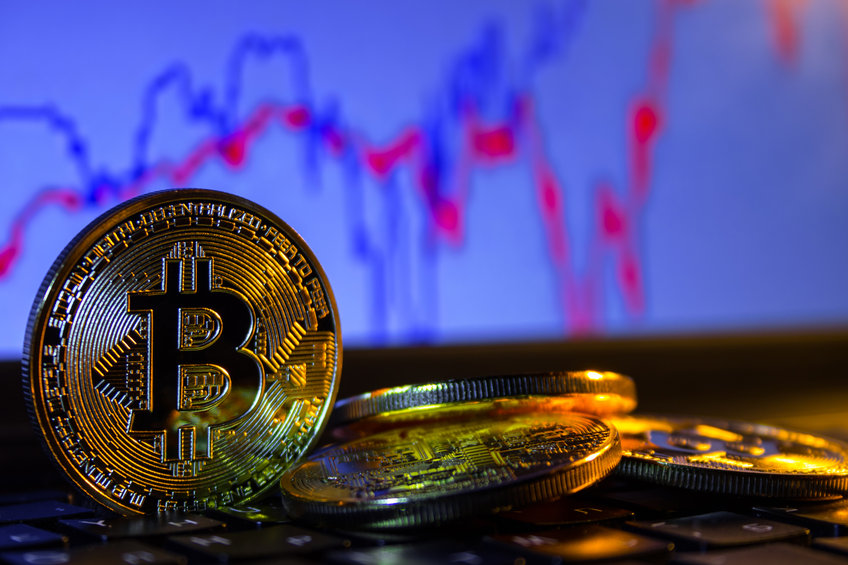  bitcoin data on-chain stout red remains liquidated 