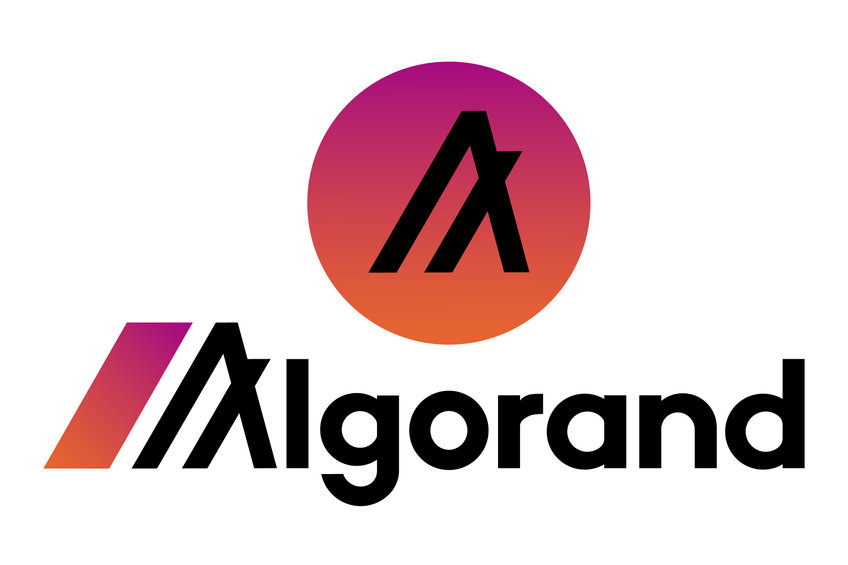 Algorand appoints interim CEO to replace Steven Kokinos