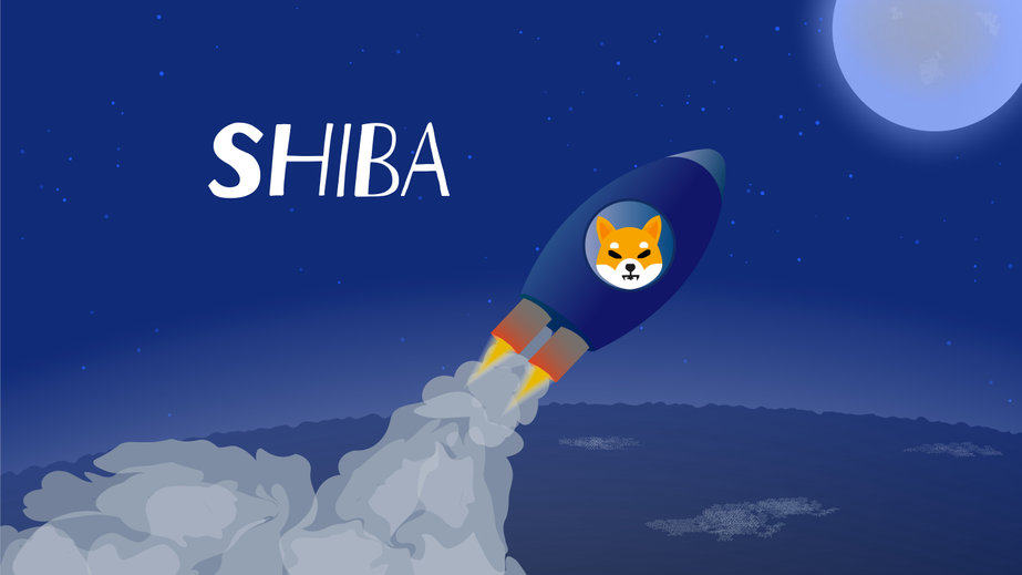 shiba inu price token rebound back support 