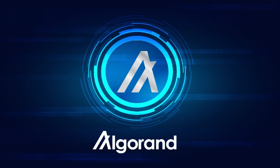 Why is Algorand price rising today?