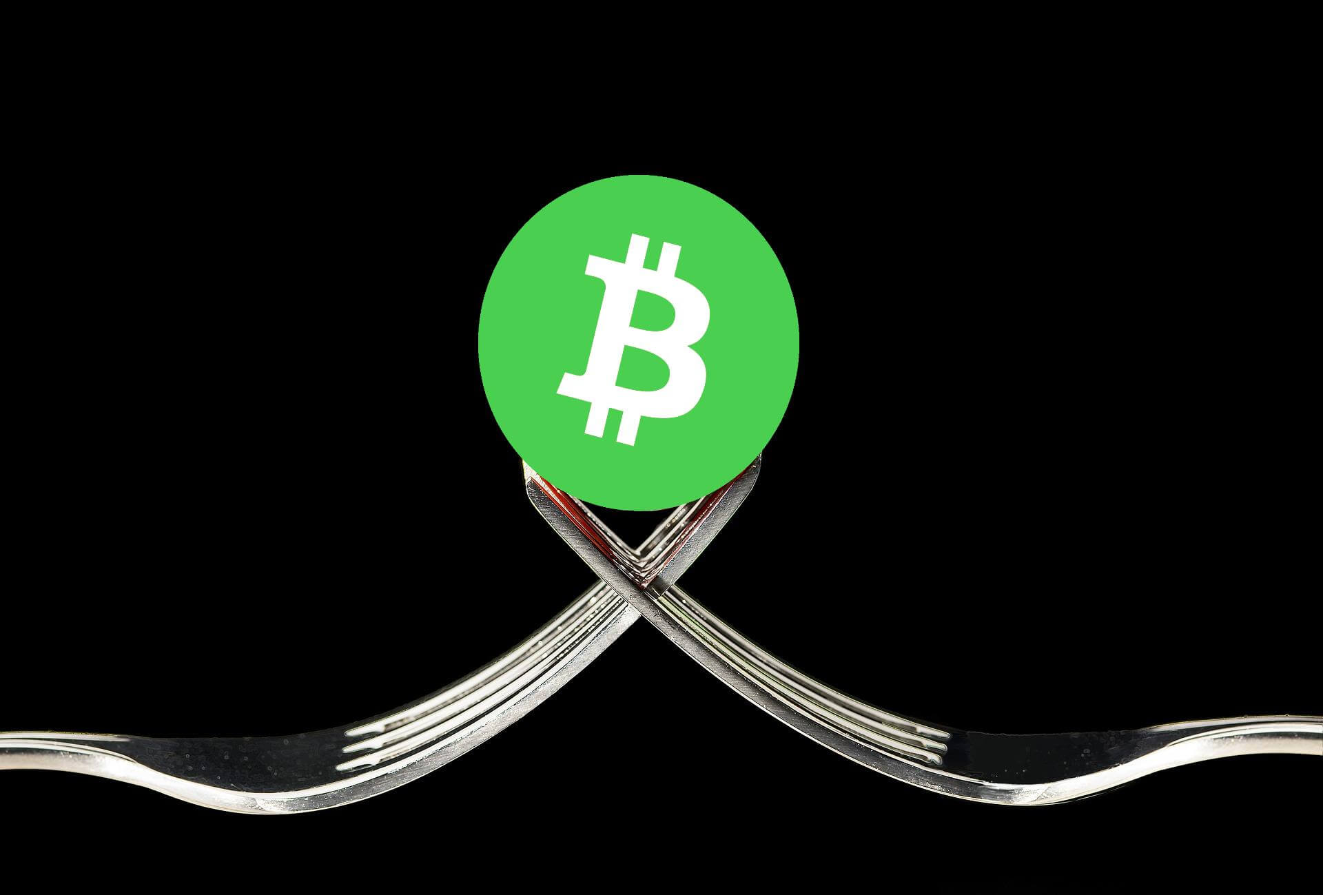 Fork do bitcoin cash bch