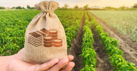 A farmer holds up a bag of money against a background of a planted field.