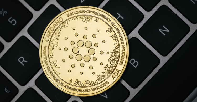 Market highlights November 24: Cardano slumping, CRO displaces SHIB, Zoom shares crash