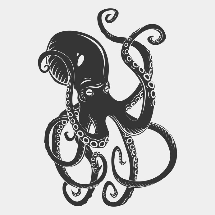 Not another Squid token: Where to buy AngrySquid, the token that gained 1,129%