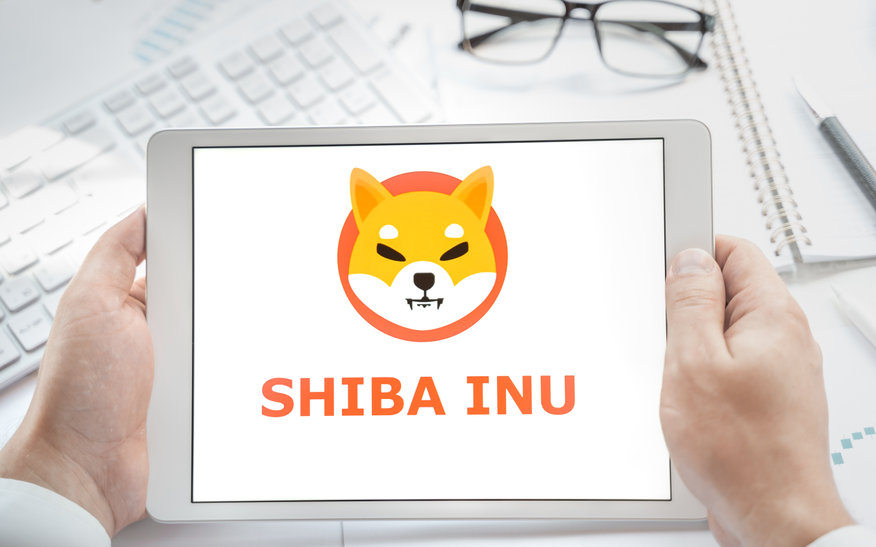 Is Shiba Inu (SHIB) about to experience another Bull Run?