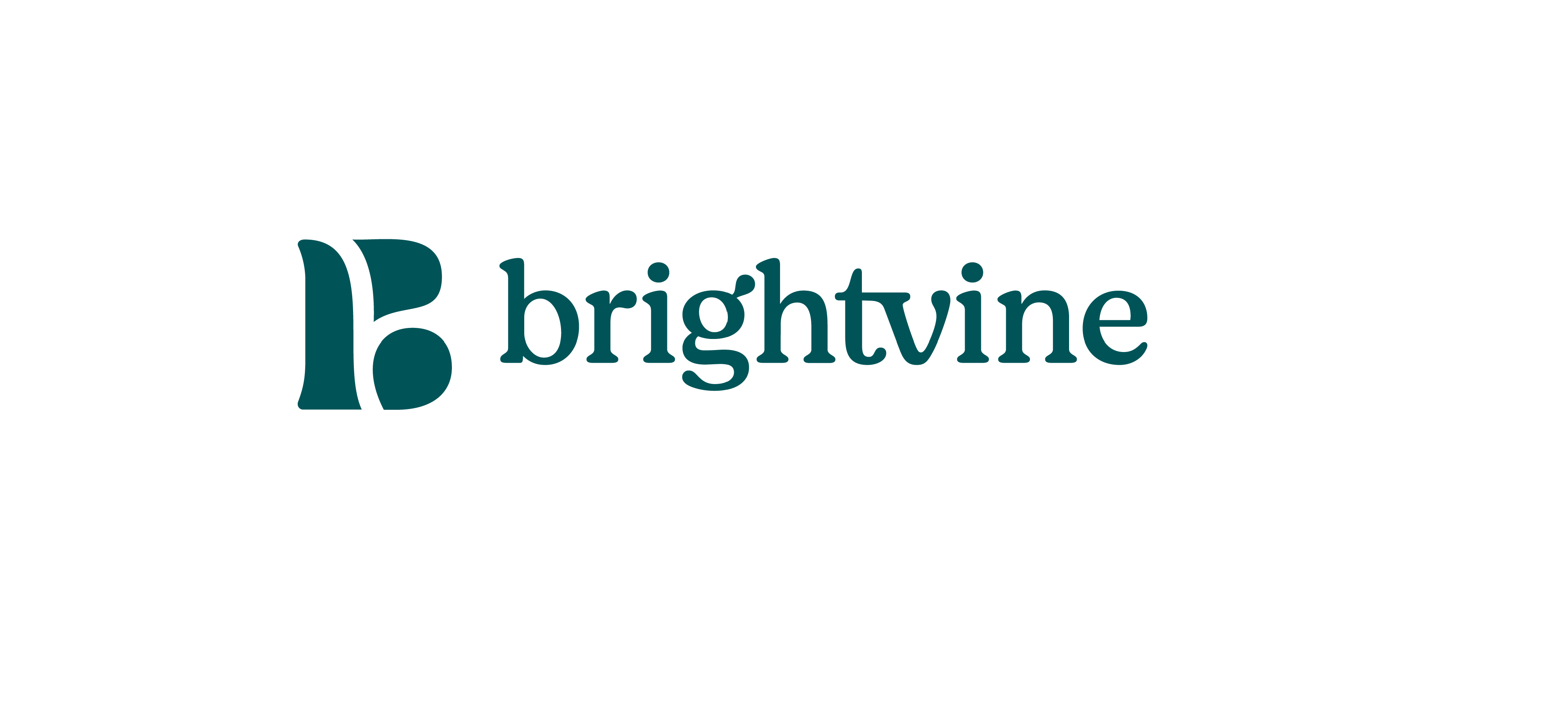 Interview with Brightvine CEO on tokenised real estate