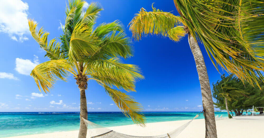 Foto van palmbomen op de Seven Mile Beach op de Kaaimaneilanden