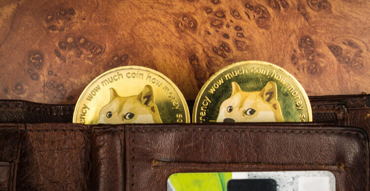 Twee Dogecoins in een wallet