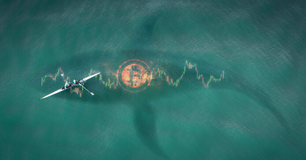 Foto van een Bitcoin whale concept