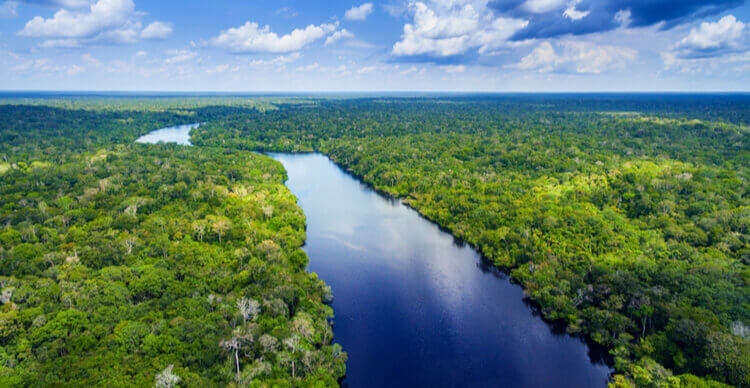 Foto van het Amazone regenwoud in Brazilië