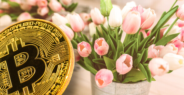 Une image d'un Bitcoin et de fleurs de tulipe