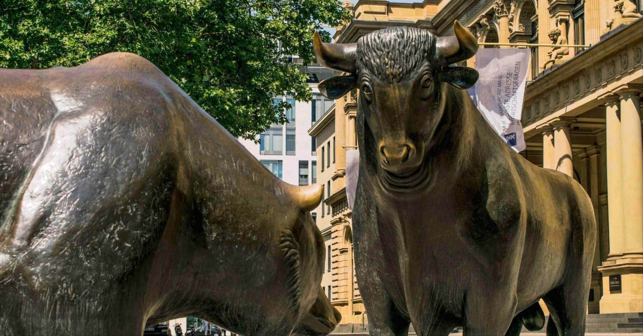 Image d’un ours et d’un taureau