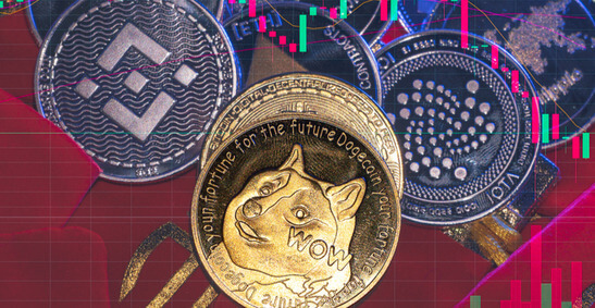 Une image du chien Shiba Inu sur un coin