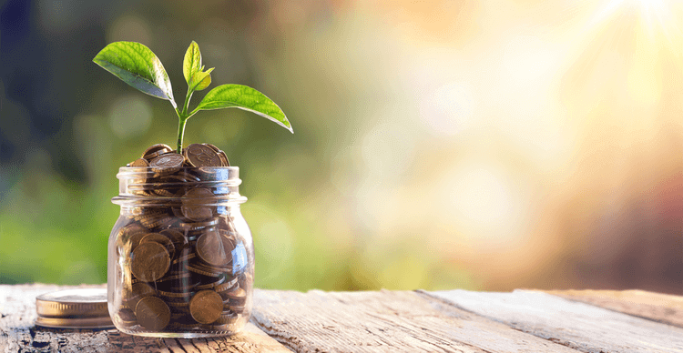 Image d'une plante poussant dans un bocal de coins