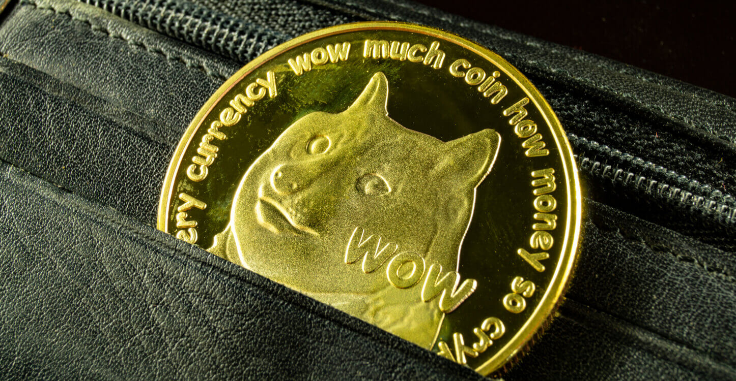 L'image d'un Dogecoin dans un portefeuille physique