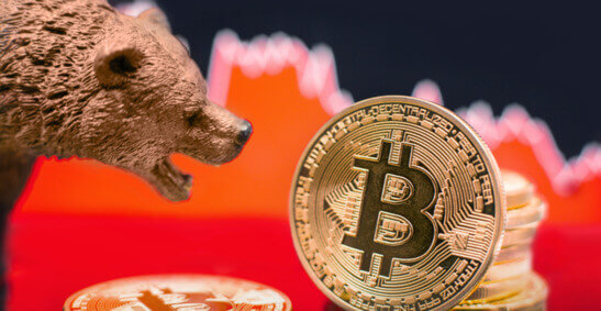 Image d'un ours face au bitcoin avec un graphique rouge en arrière-plan