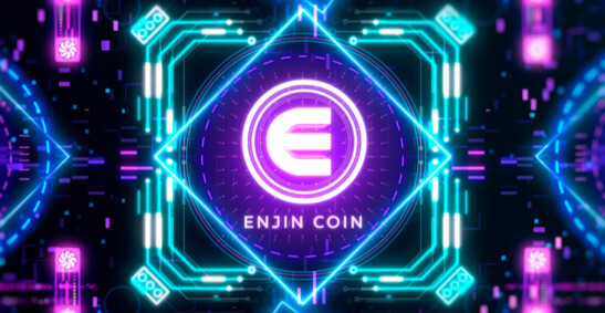 Bild des Enjin Logos