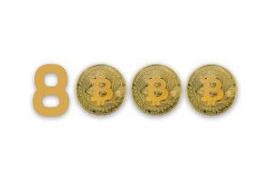 Bitcoin $8000