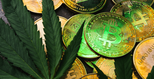 Image of crypto coins with cannabis leaf