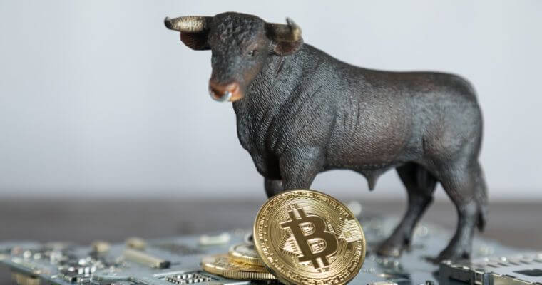 Institutional players seem to be sensing another bull run on the horizon