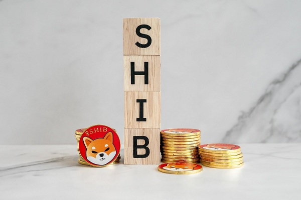 En medio de la disminución del interés en Shiba Inu y Dogecoin, la preventa de NuggetRush provoca el frenesí de los inversores