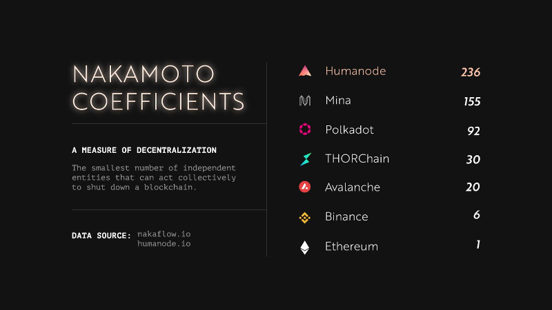 Humanode, a blockchain constructed with the Polkadot SDK, turns into essentially the most decentralized by Nakamoto coefficient - CoinJournal
