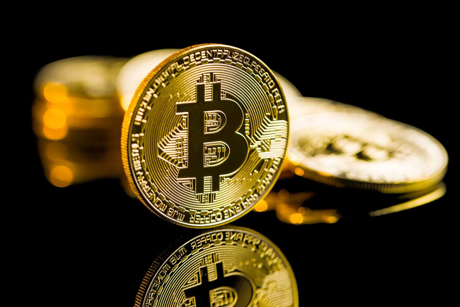 Bitcoin rebounds after massive sell-off; BRETT and Poodlana shine - CoinJournal