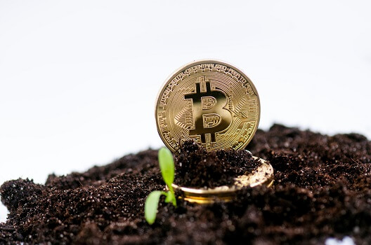 Bitfarms agrees to buy Stronghold Digital for 5M in stock and debt - CoinJournal