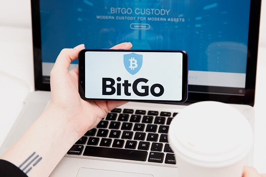 BitGo, protokoller için dijital varlık yönetimi platformunu başlatıyor